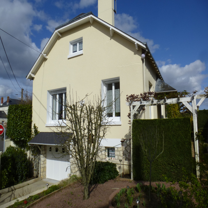 Offres de vente viager maison Montrichard (41400)