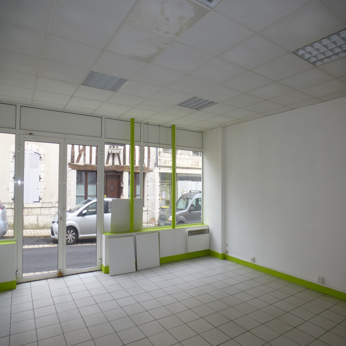 Vente Immobilier Professionnel Local commercial Beaugency (45190)